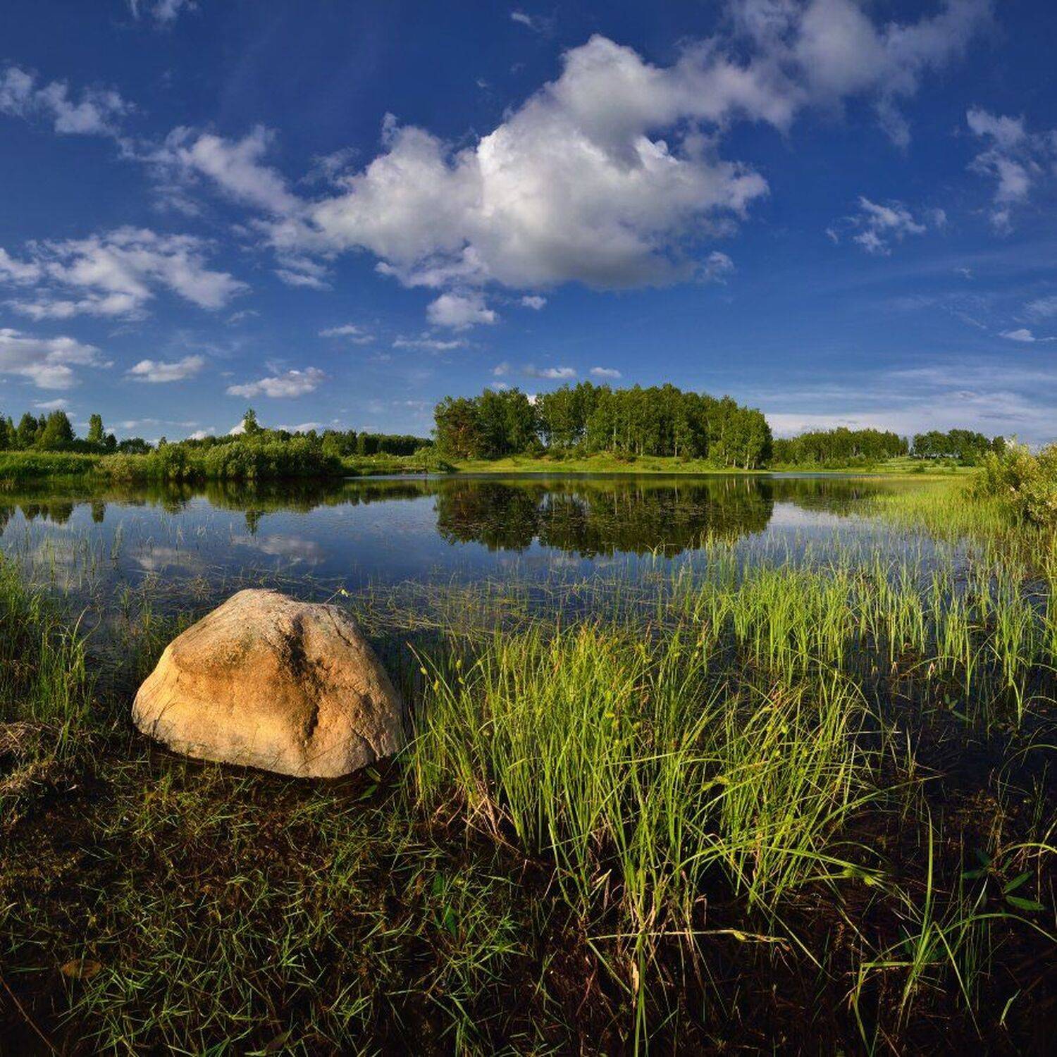 , Максим Евдокимов