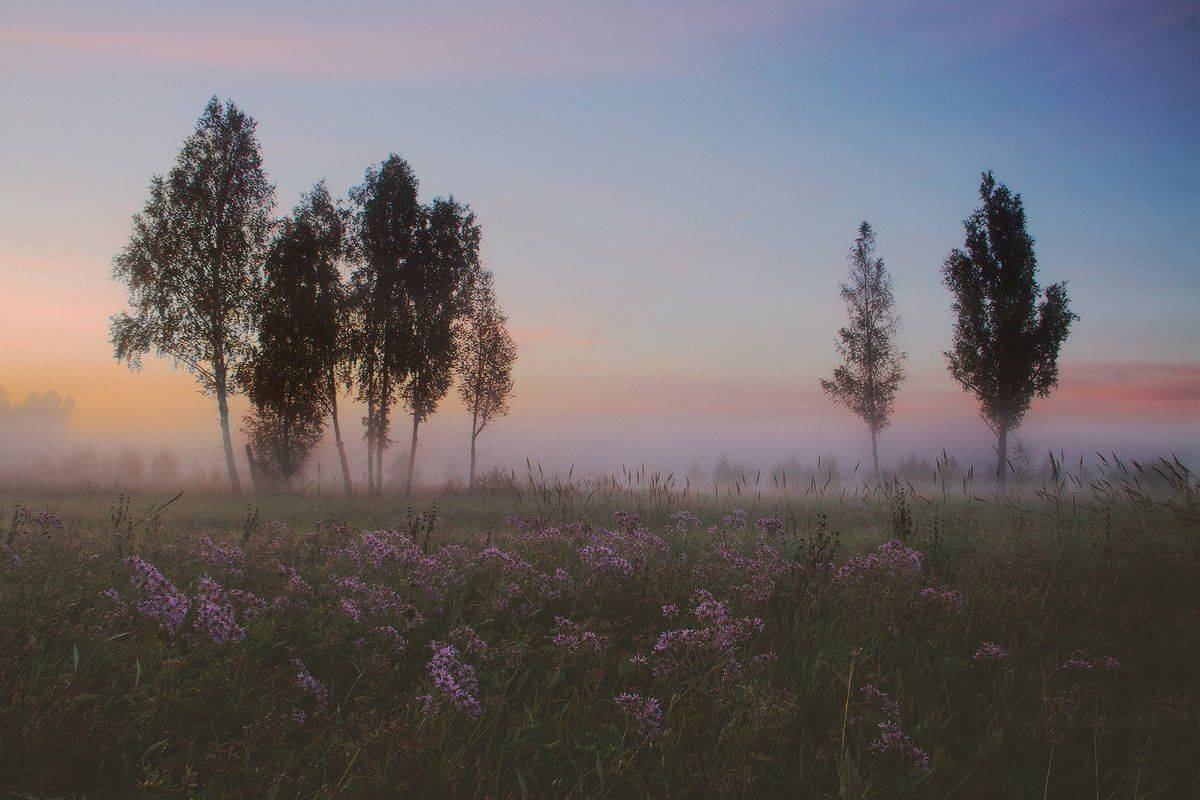 , Николай Морский