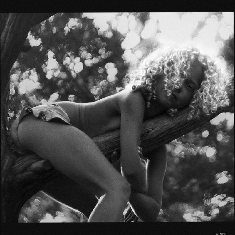 Доброе утро! Большой Утриш (4) фото превью