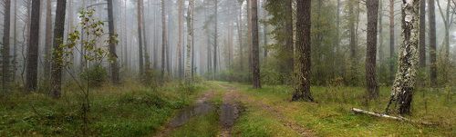 Туманы сентября