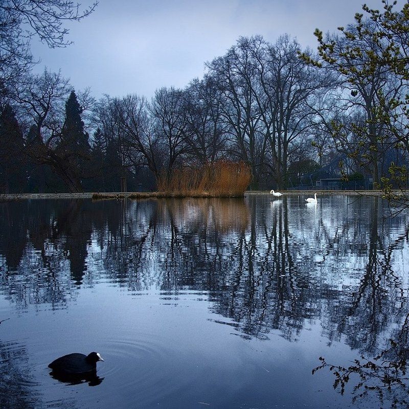 Deutschland. Stuttgart. Zoo. фото превью