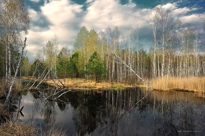 *** фото превью