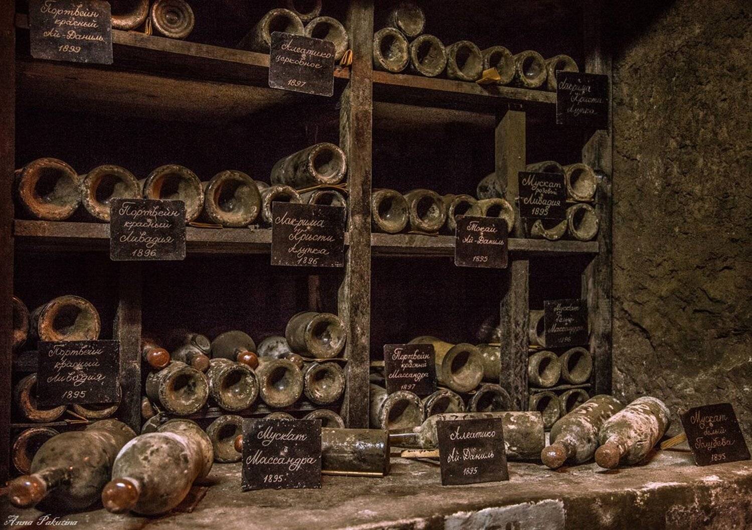 , Анна Пакутина