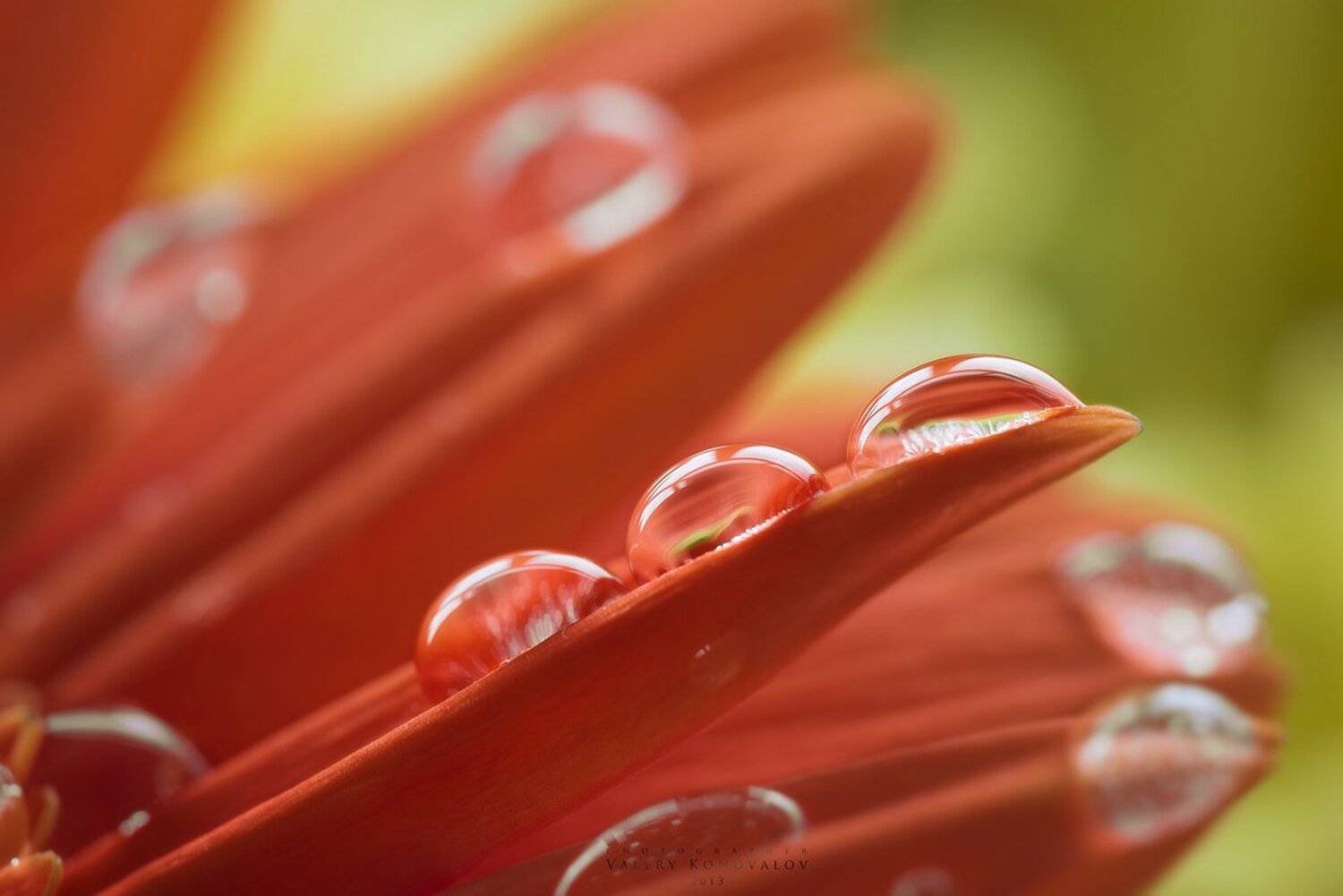 , Валерий Коновалов