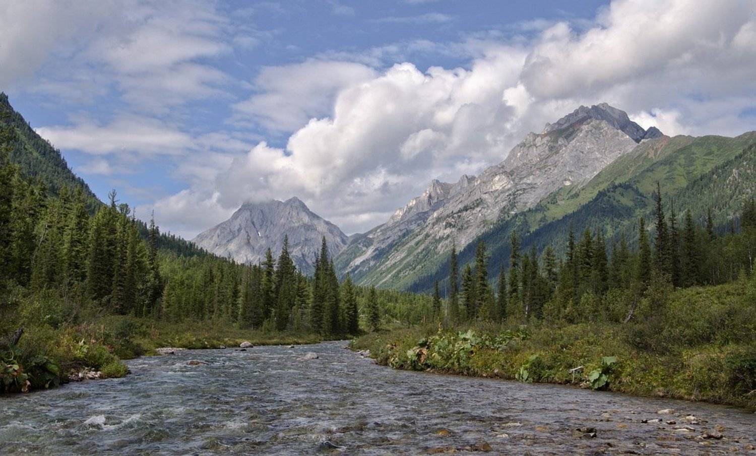 , Жуклин Александр