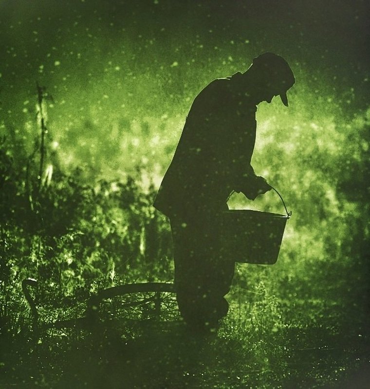 . фото превью