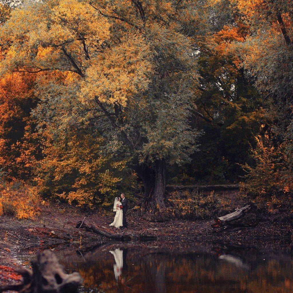 , Алексей Гуляев