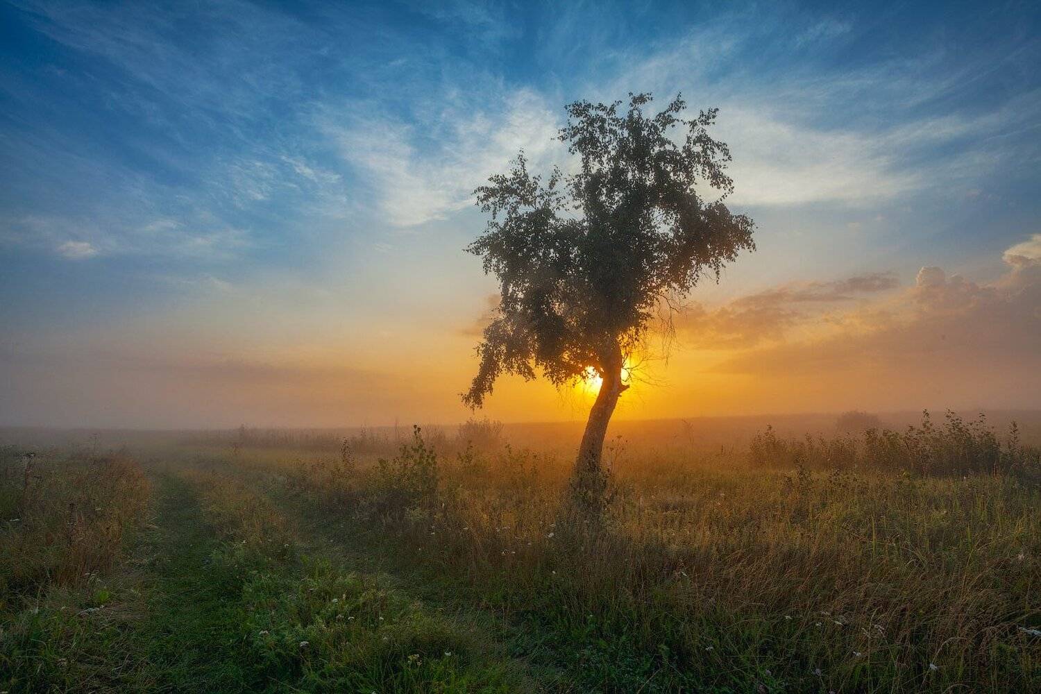 , Данил Ромодин