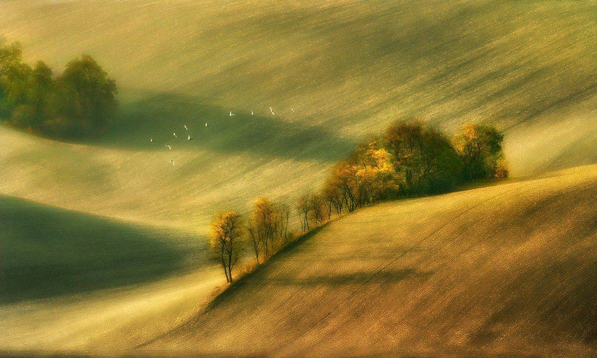 , Pawel Kucharski
