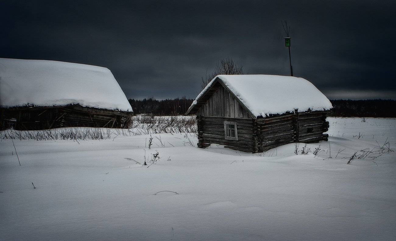 , Владимир Липецких