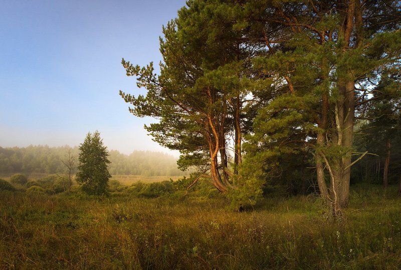 в предвкушении осени фото превью
