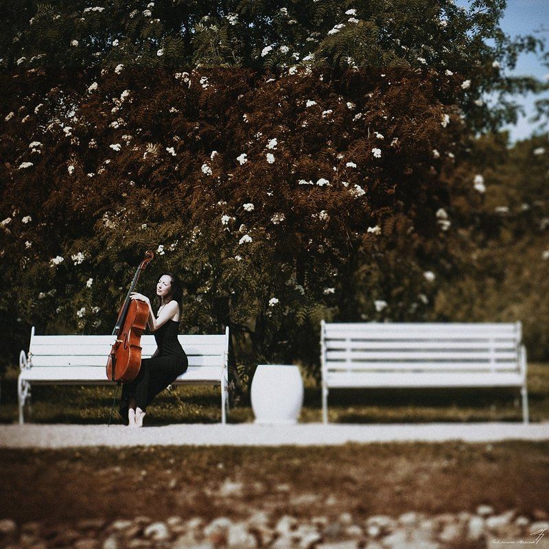 Pianissimo фото превью