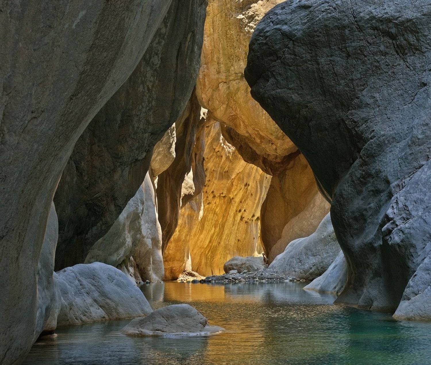 , Олег Пожарков