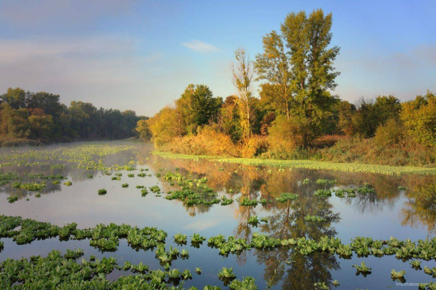 , Михаил Псарёв