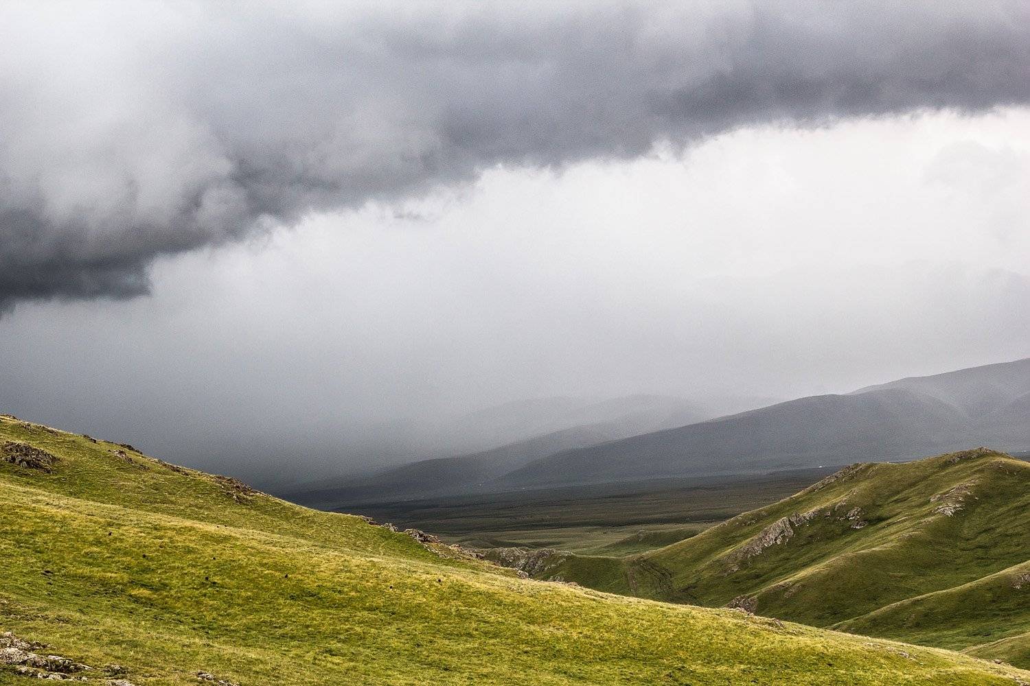 , Сергей Теректі