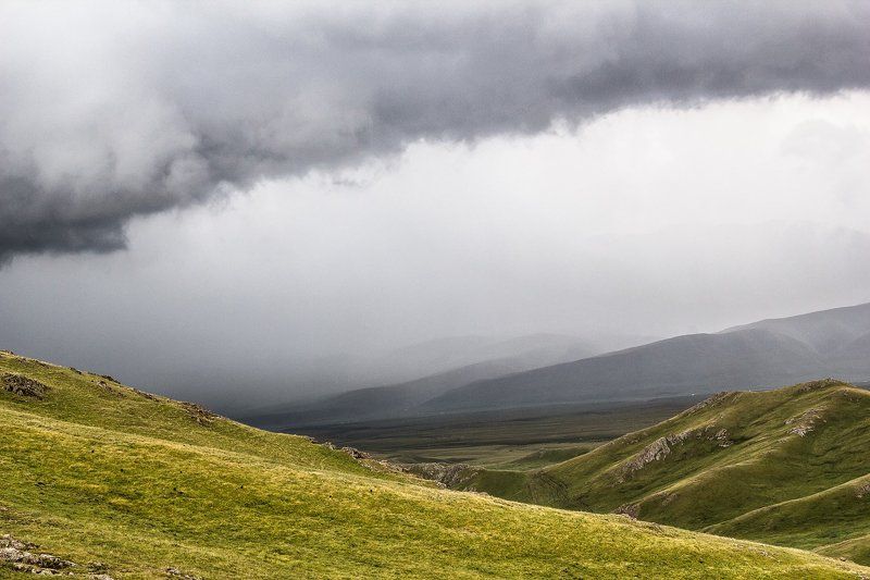Асы фото превью