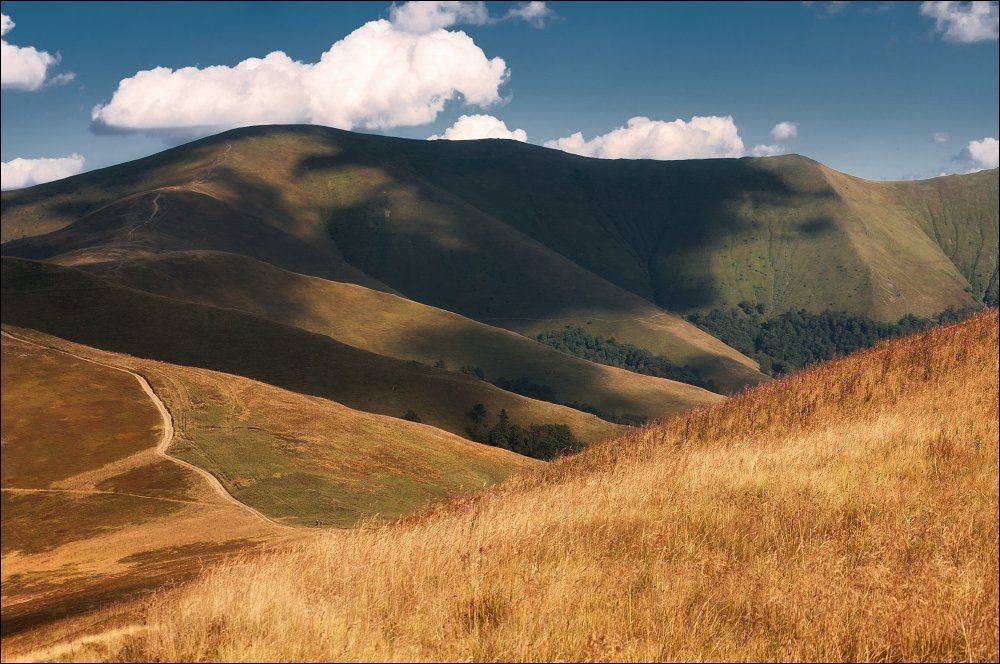 , Полищук И.В.