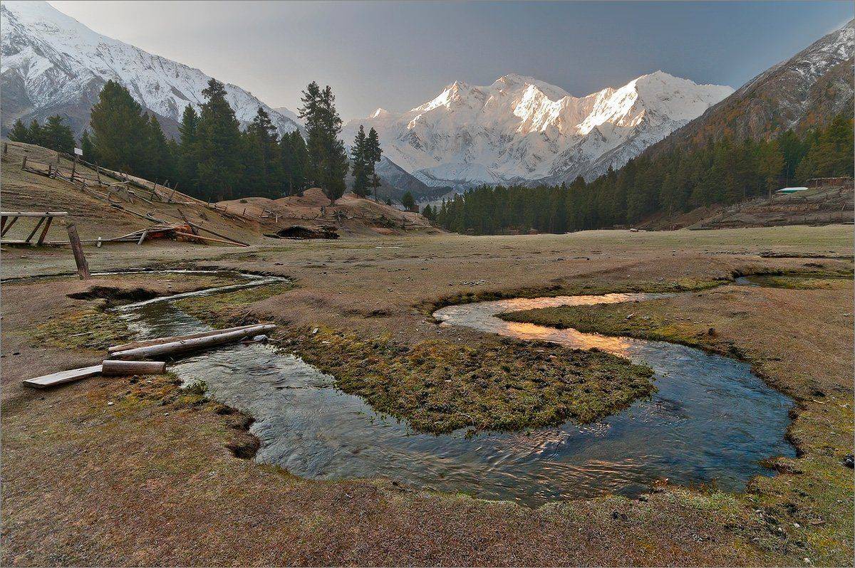 , Алексеевич