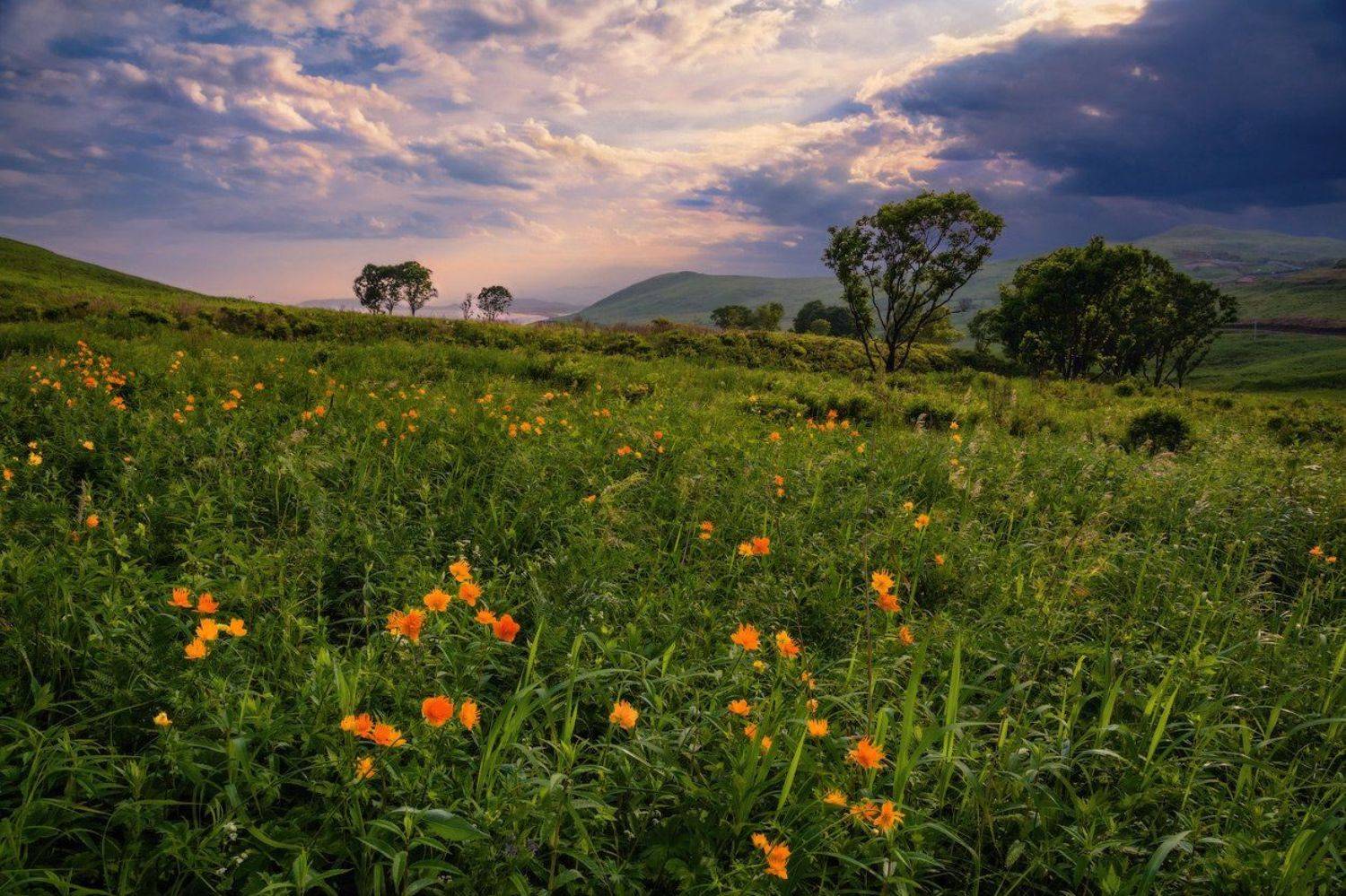 , Андрей Кровлин