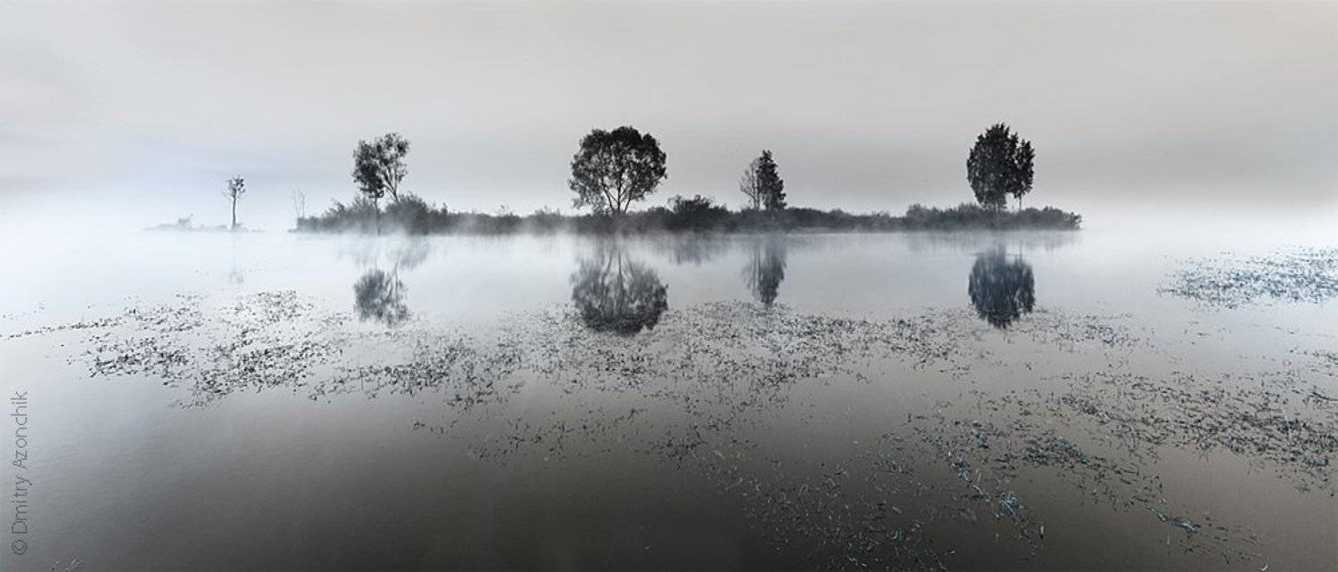 , Дмитрий Азончик