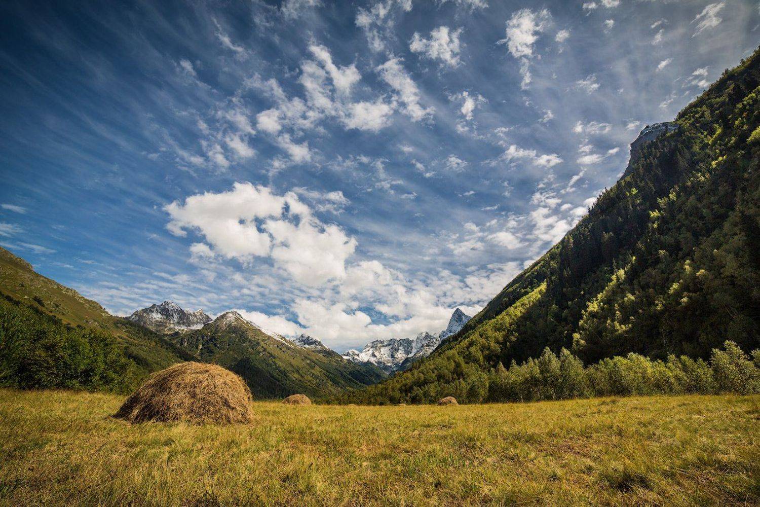 , Вадим Ходаковский