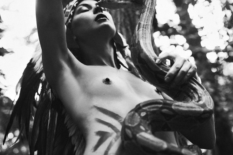 corner of the earth фото превью