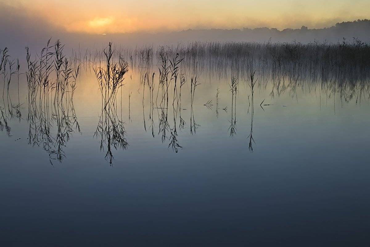 , Rimantas Bikulcius