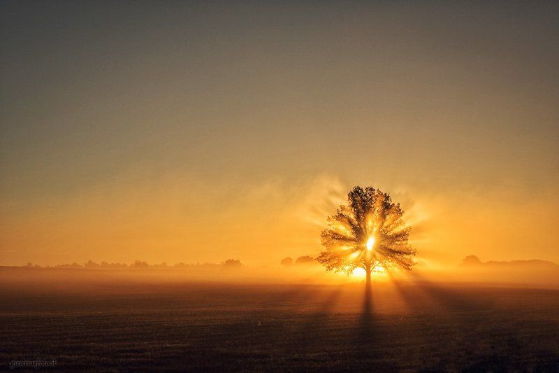 Lone фото превью