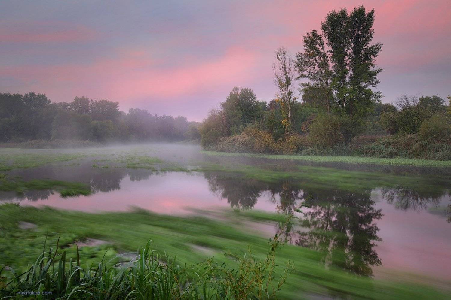 , Михаил Псарёв
