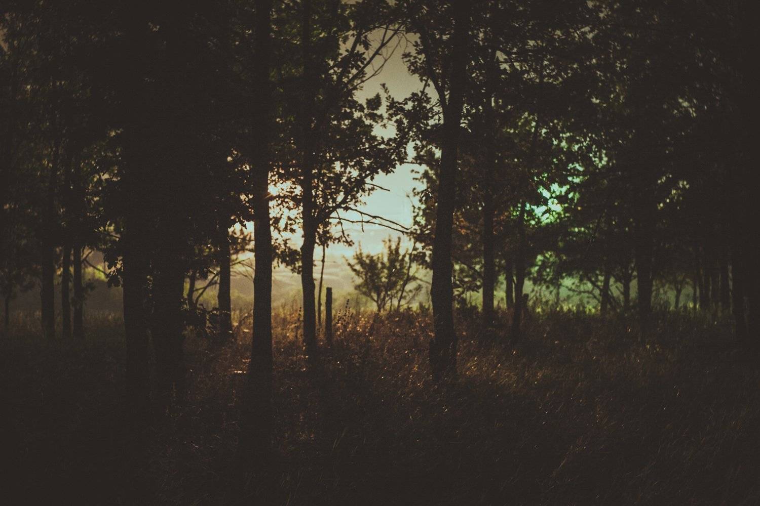 , Лысых Антон