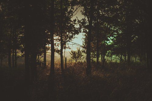 night magic