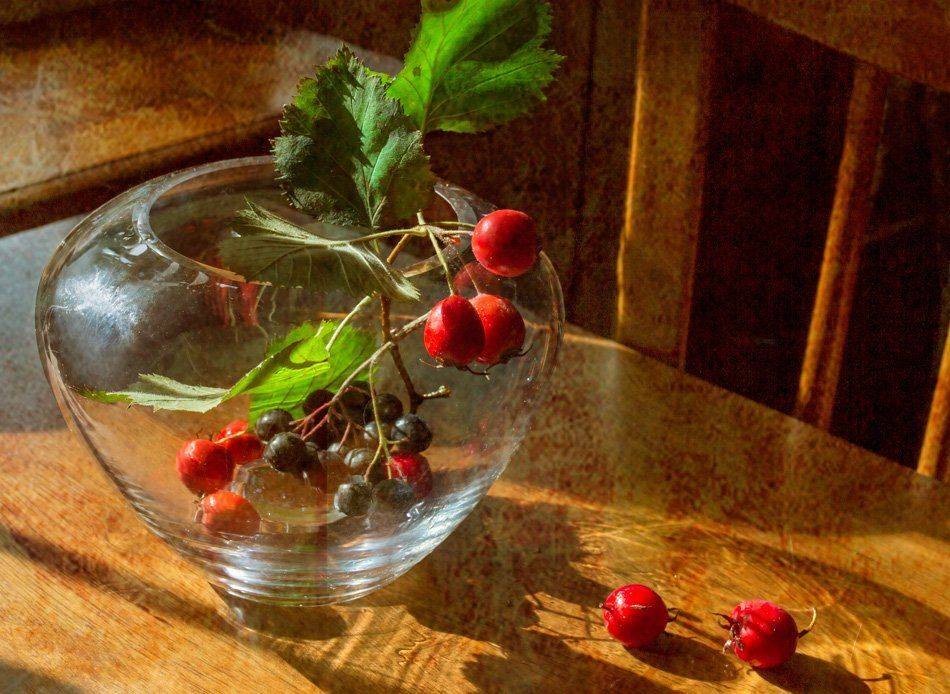 , Людмила Прокофьева