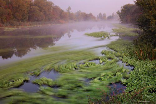 20 секунд реки