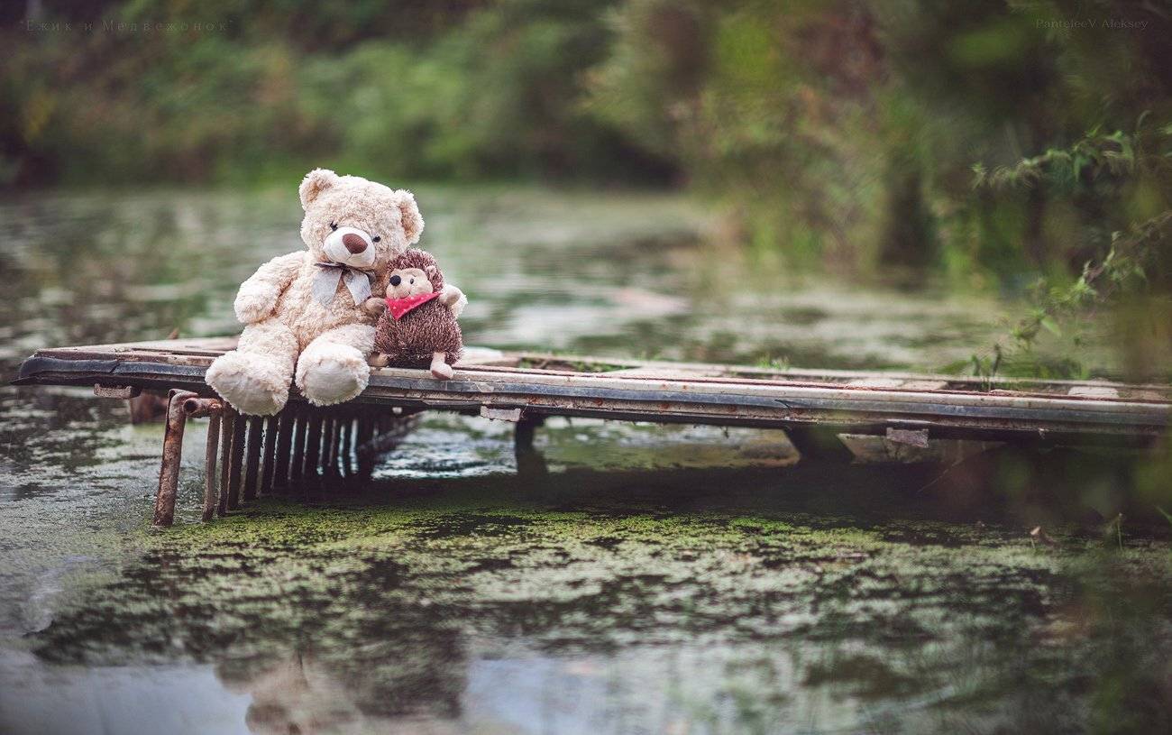 встреча, ежик, любовь, медведь, медвежонок, мягкие игрушки, Пантелеев Алексей