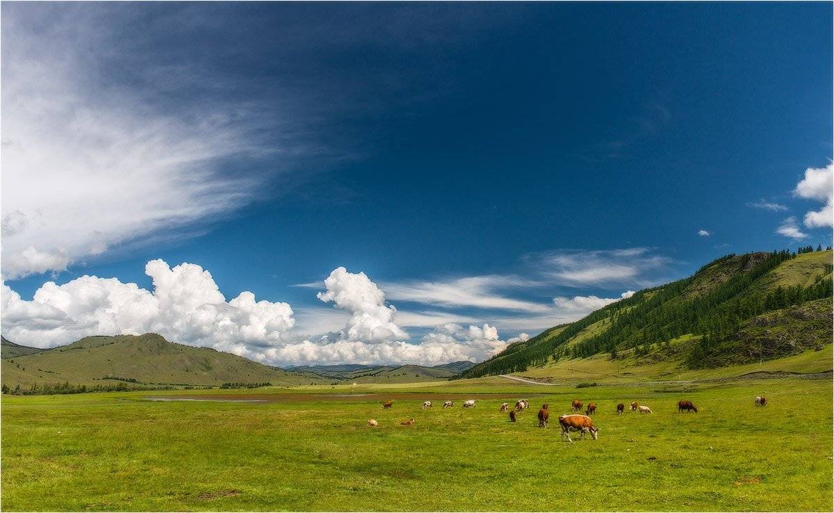 , Кутыгин Эдуард