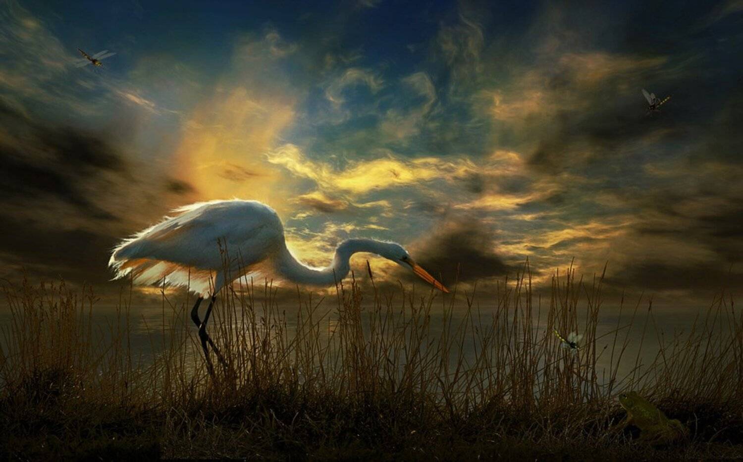 коллаж, Nataliorion