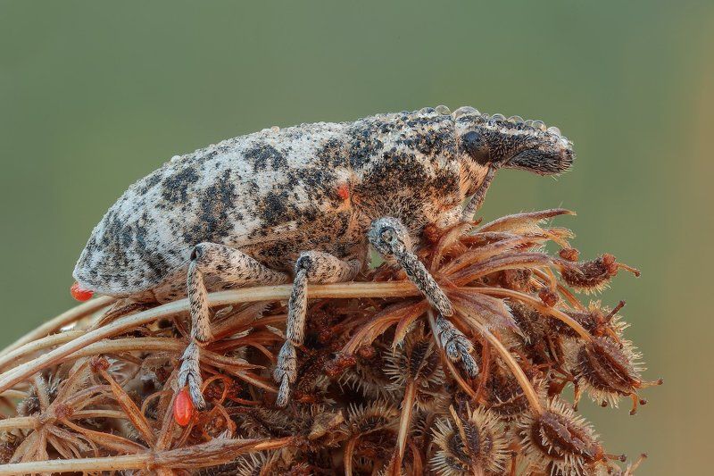 После душа. фото превью