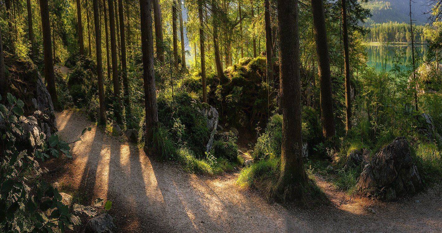 , Игорь Мелекесцев