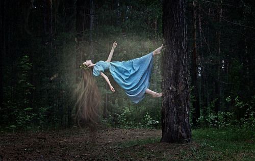 Сказочный лес