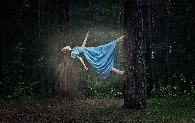 Сказочный лес фото превью