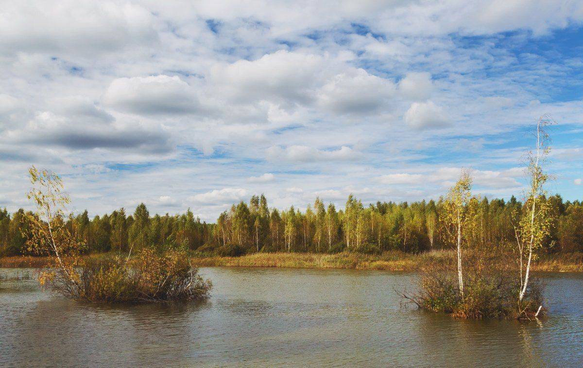 Березы, Облака, Озеро, Осень, Пейзаж, Природа, Александр Удовиченко