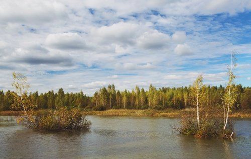 Березовые острова в 