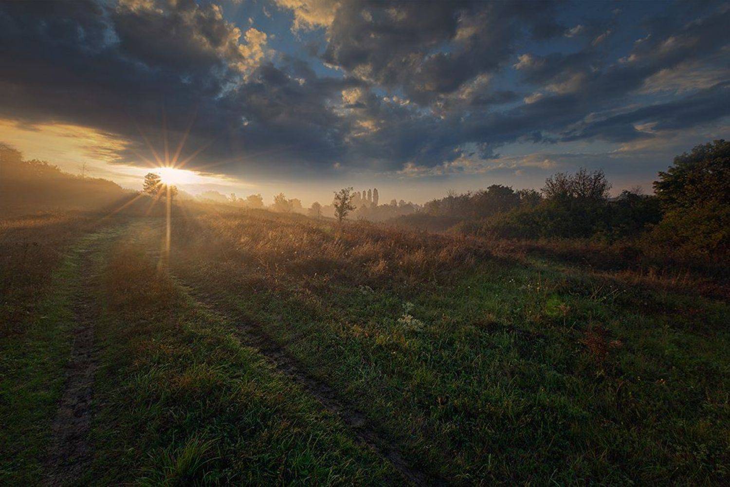 , Петр Антонович
