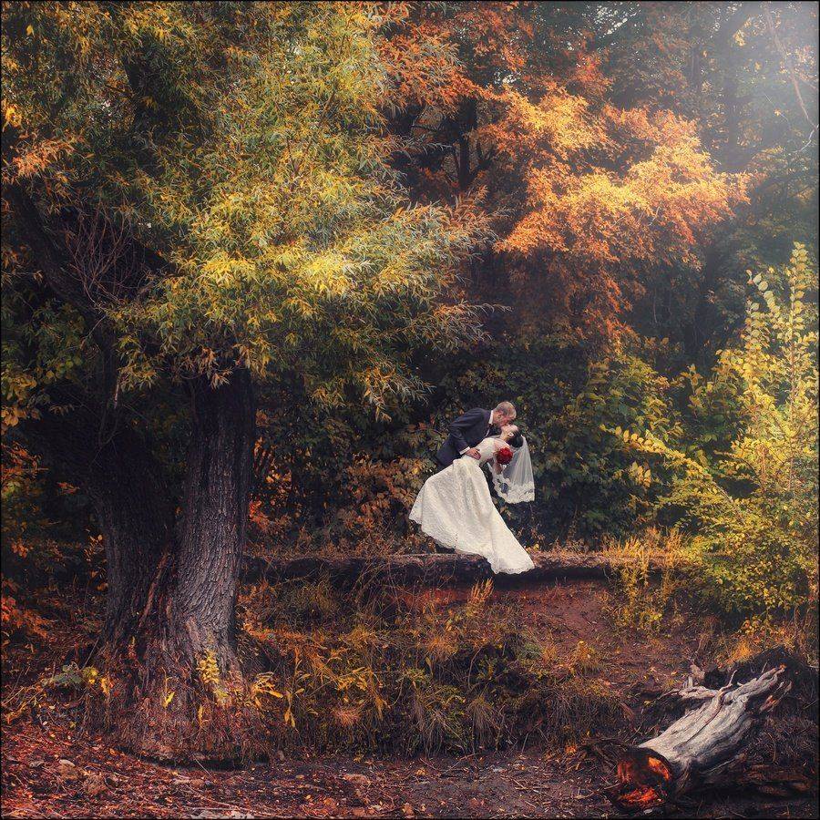 , Алексей Гуляев