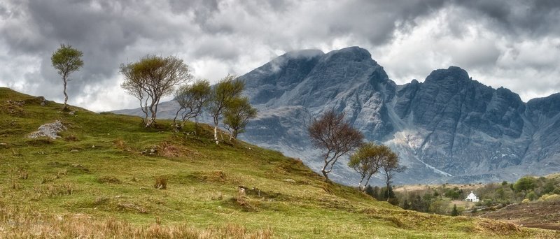 возвращение уставших берез фото превью