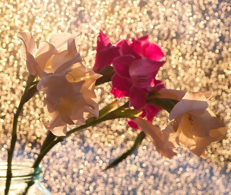 И выглянет солнце после дождя фото превью