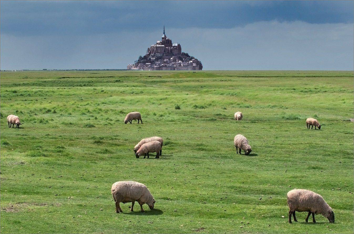 , Алексеевич