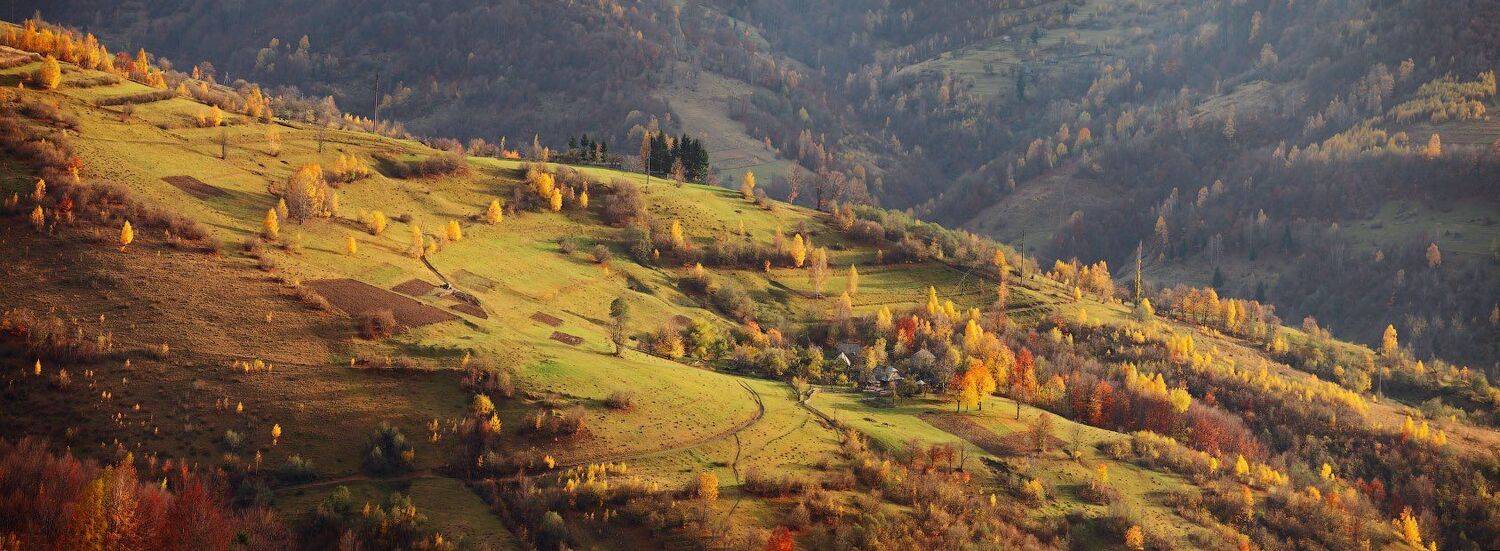 , Вейзе Максим