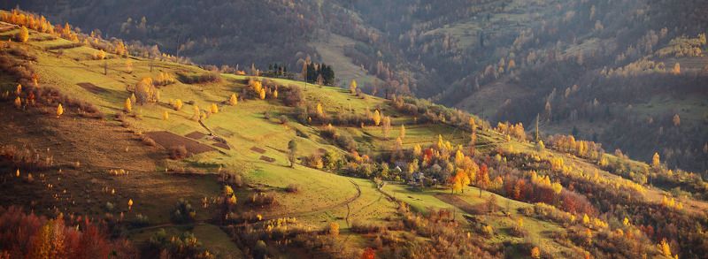 О прошлой осени фото превью