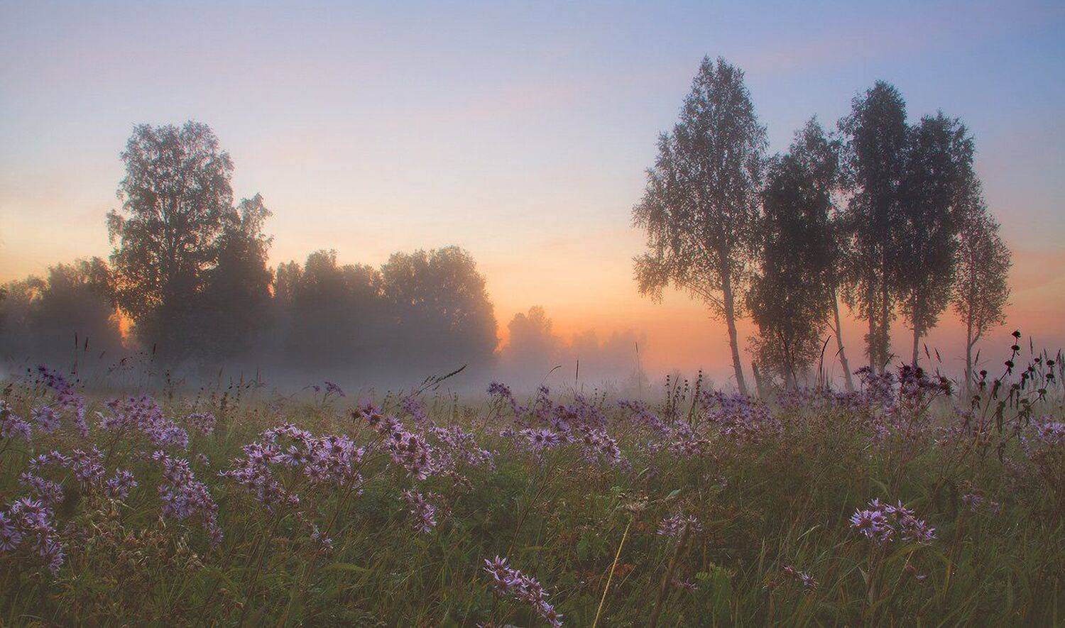 , Николай Морский